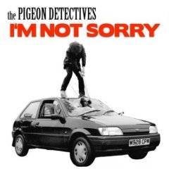 Pigeon Detectives : I'm Not Sorry